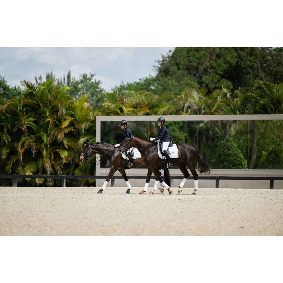 Equestrian Stockholm Sottosella Dressage White Silver
