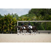 Equestrian Stockholm Sottosella Dressage White Silver