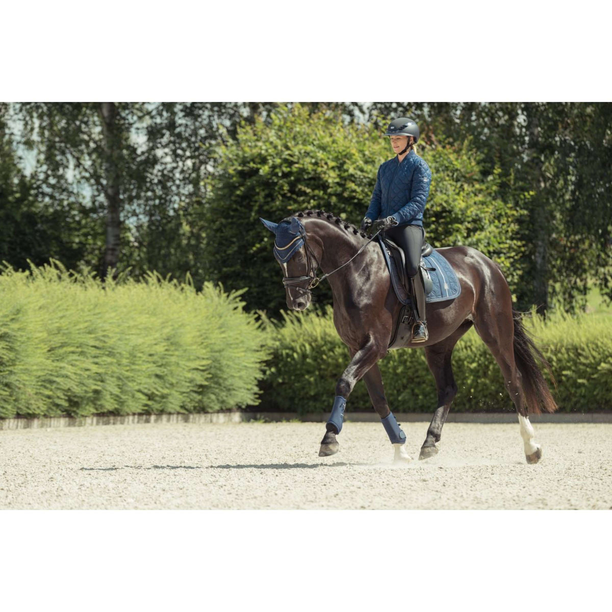 Eskadron Sottosella Heritage Big Square Glam Dressage True Blue