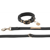 Eskadron Collare e Guinzaglio Heritage Faux Leather Plait Nero