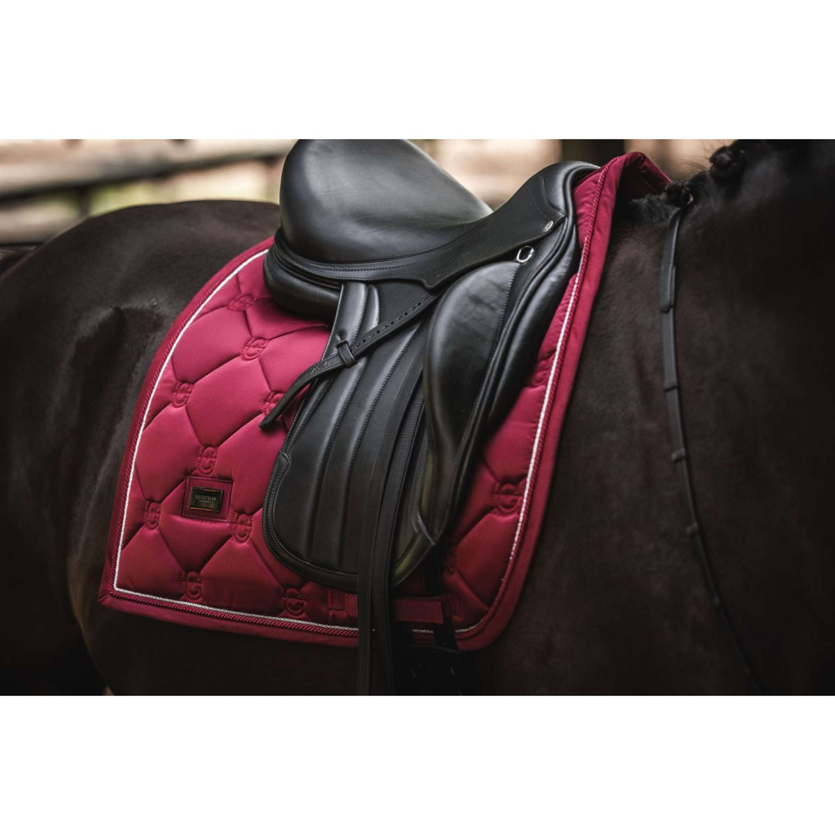 Equestrian Stockholm Sottosella Dressage Bordeaux