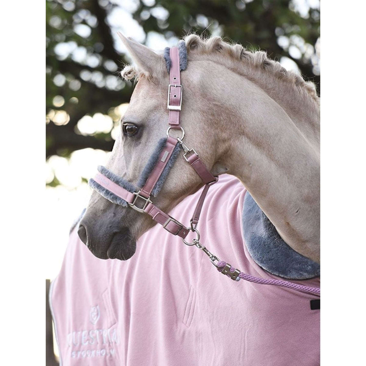 Equestrian Stockholm Capestro e Longhina Fur Rosa