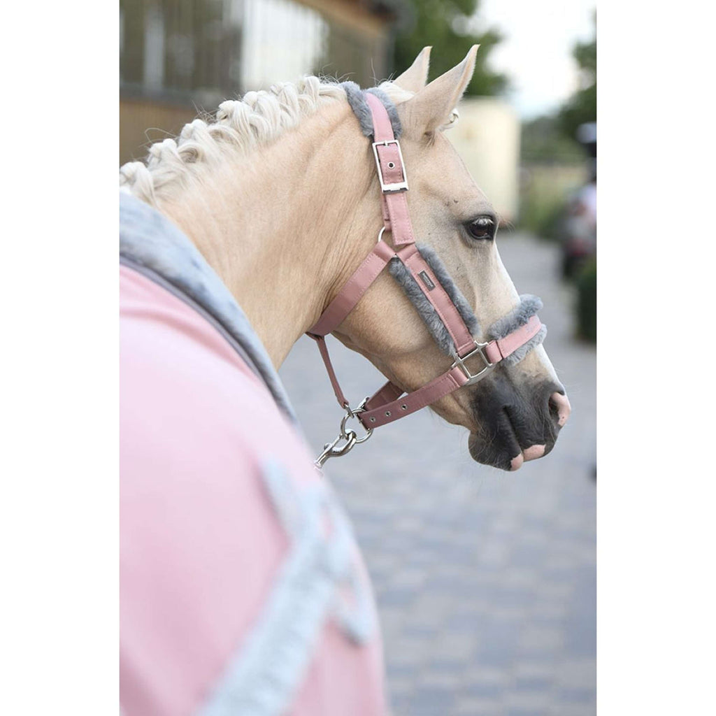 Equestrian Stockholm Cavezza e corda Fur Rosa