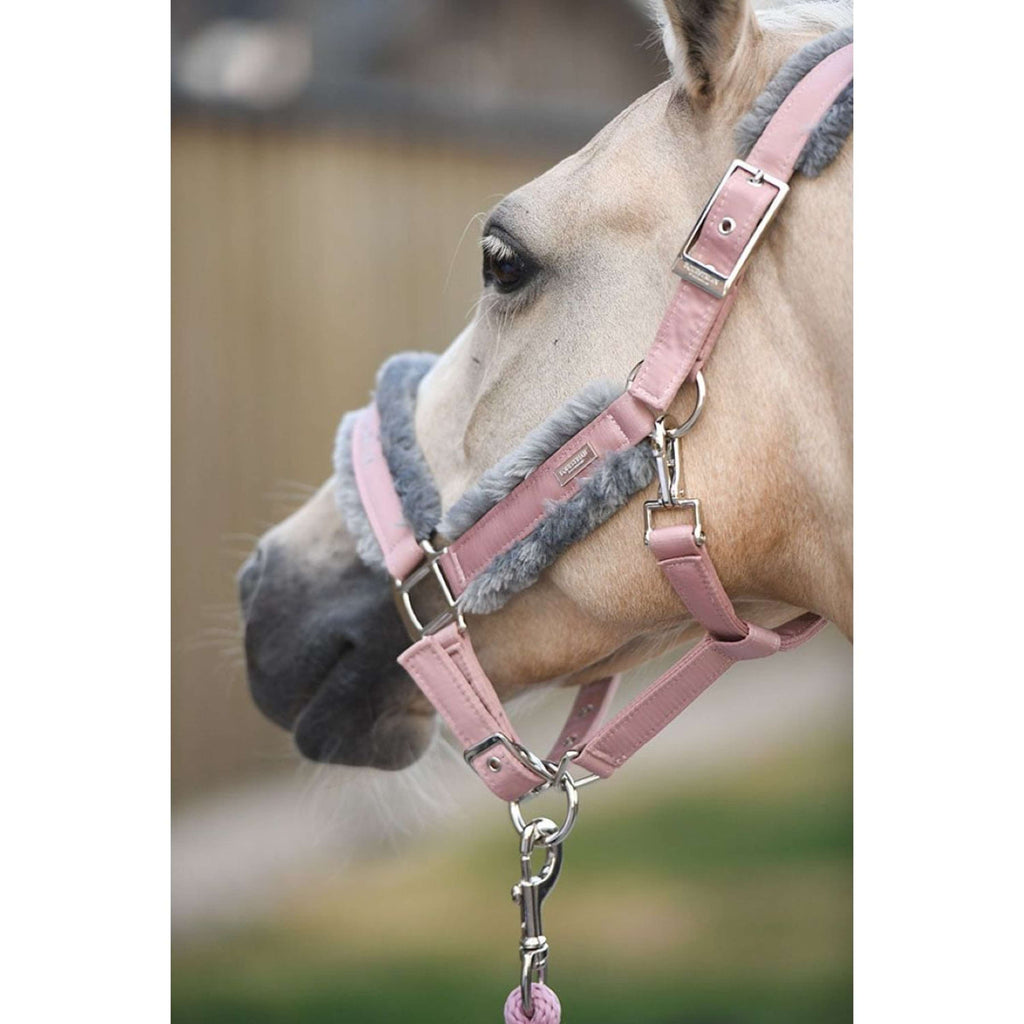 Equestrian Stockholm Cavezza e corda Fur Rosa