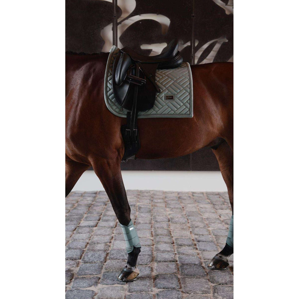 Equestrian Stockholm Sottosella Modern Dressage Mint Green