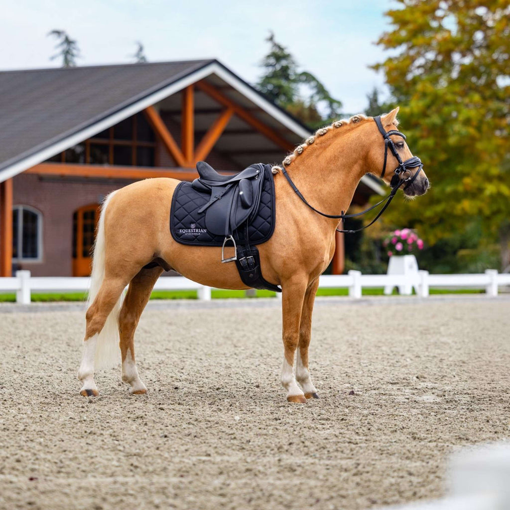 Equestrian Stockholm Sottosella Line Dressage Nero