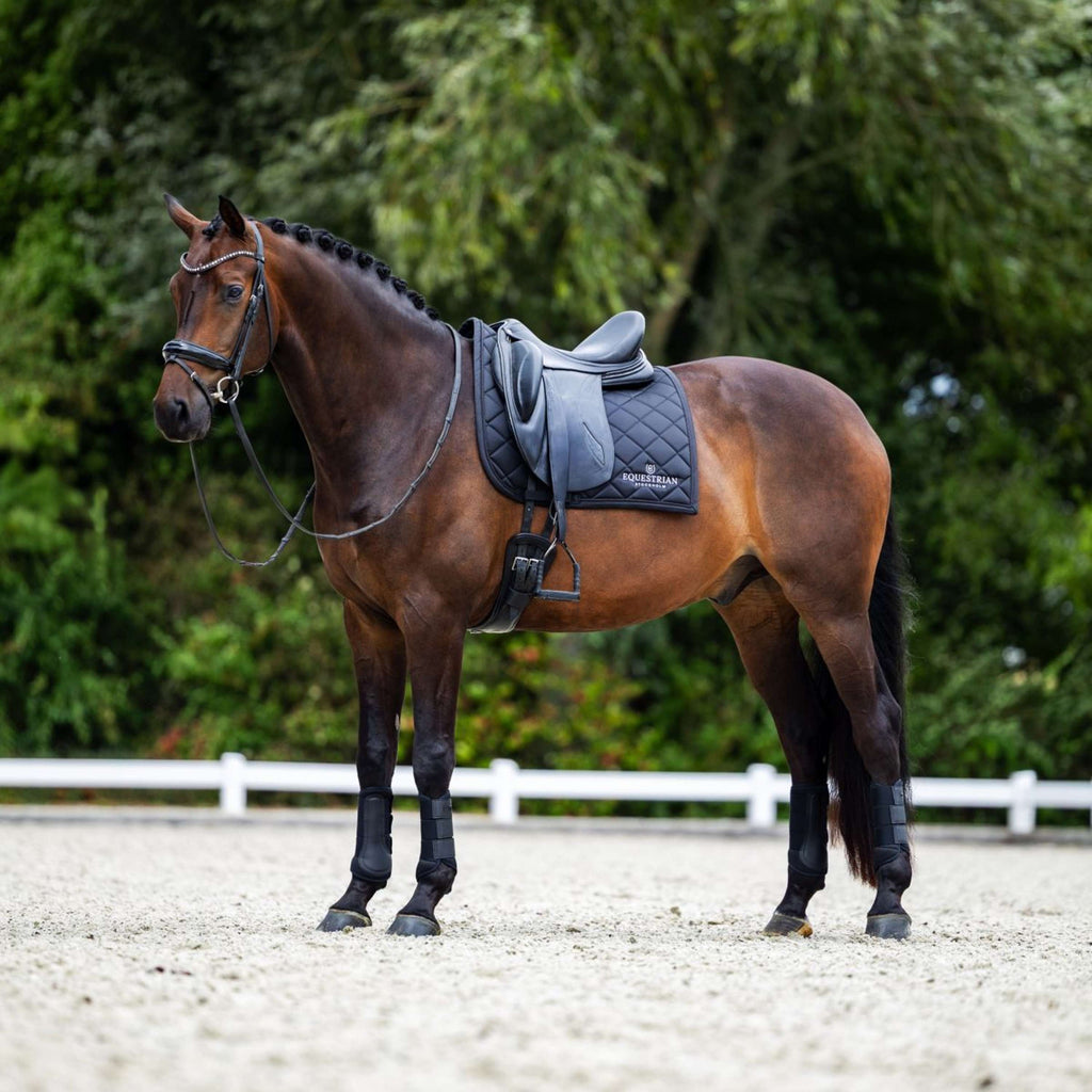 Equestrian Stockholm Sottosella Line Dressage Nero