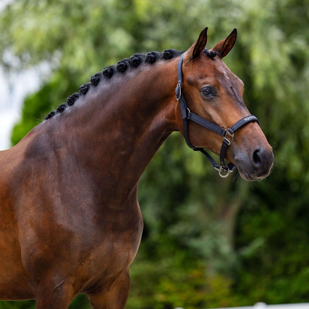 Equestrian Stockholm Cavezza Line Nero
