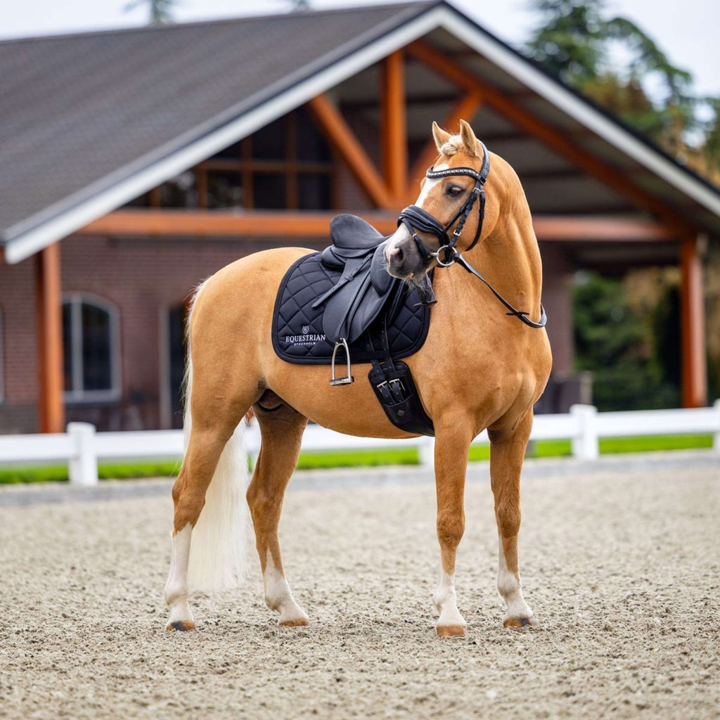 Equestrian Stockholm Sottosella Line Dressage Nero