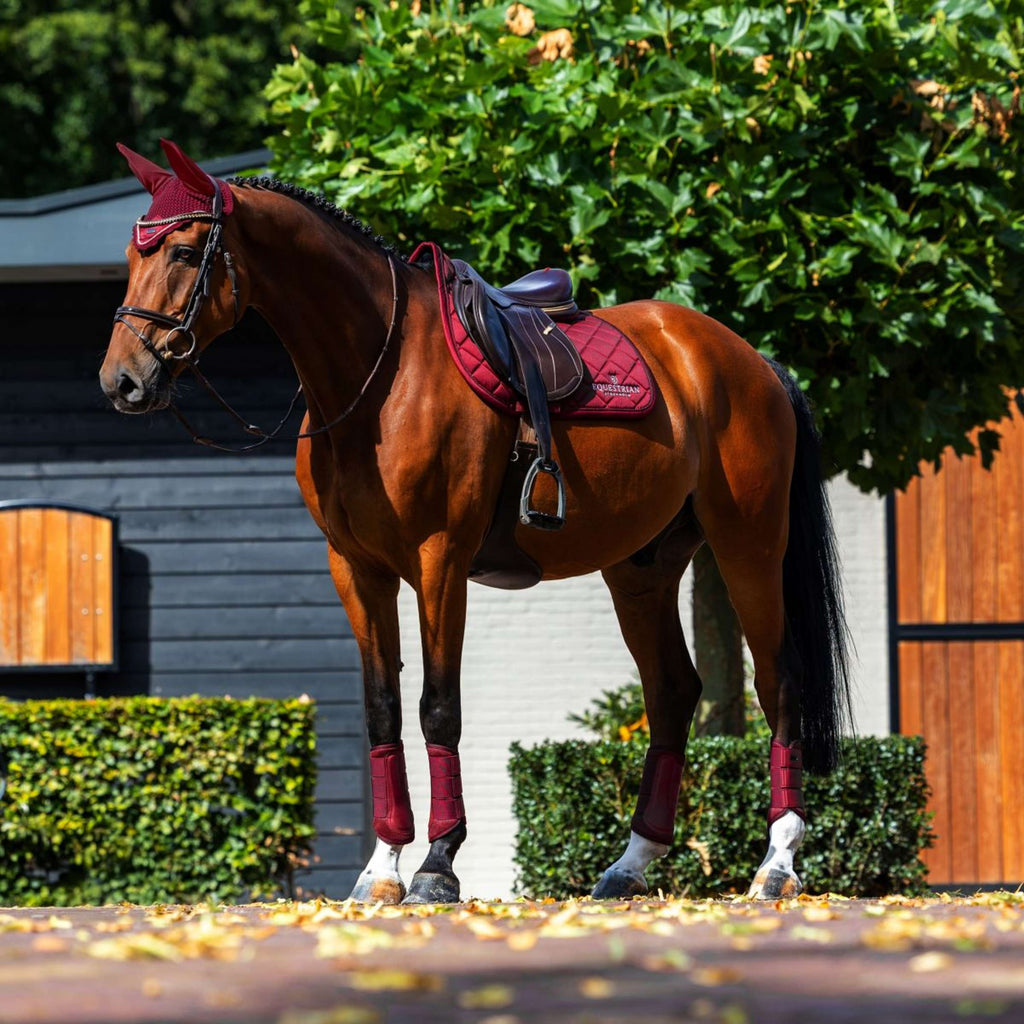 Equestrian Stockholm Sottosella Line saltando Bordeaux