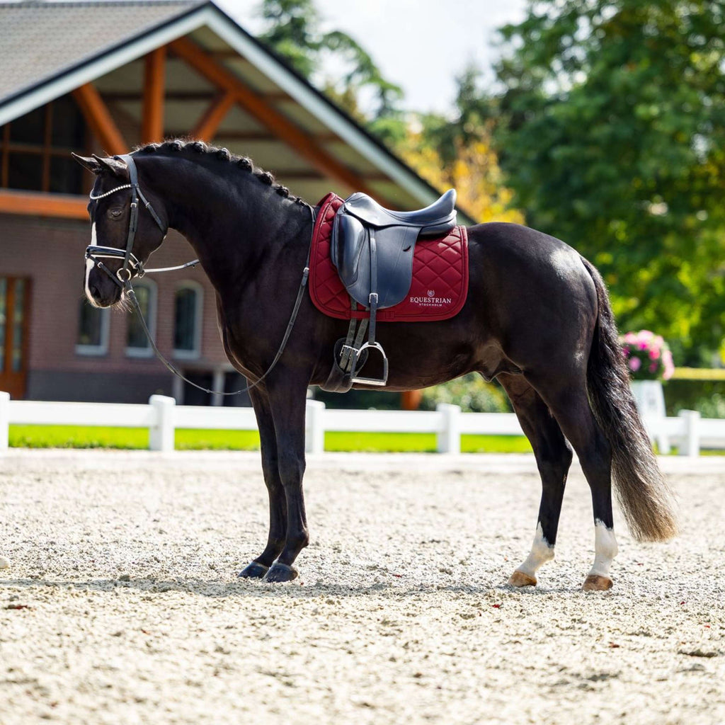 Equestrian Stockholm Sottosella Line Dressage Bordeaux