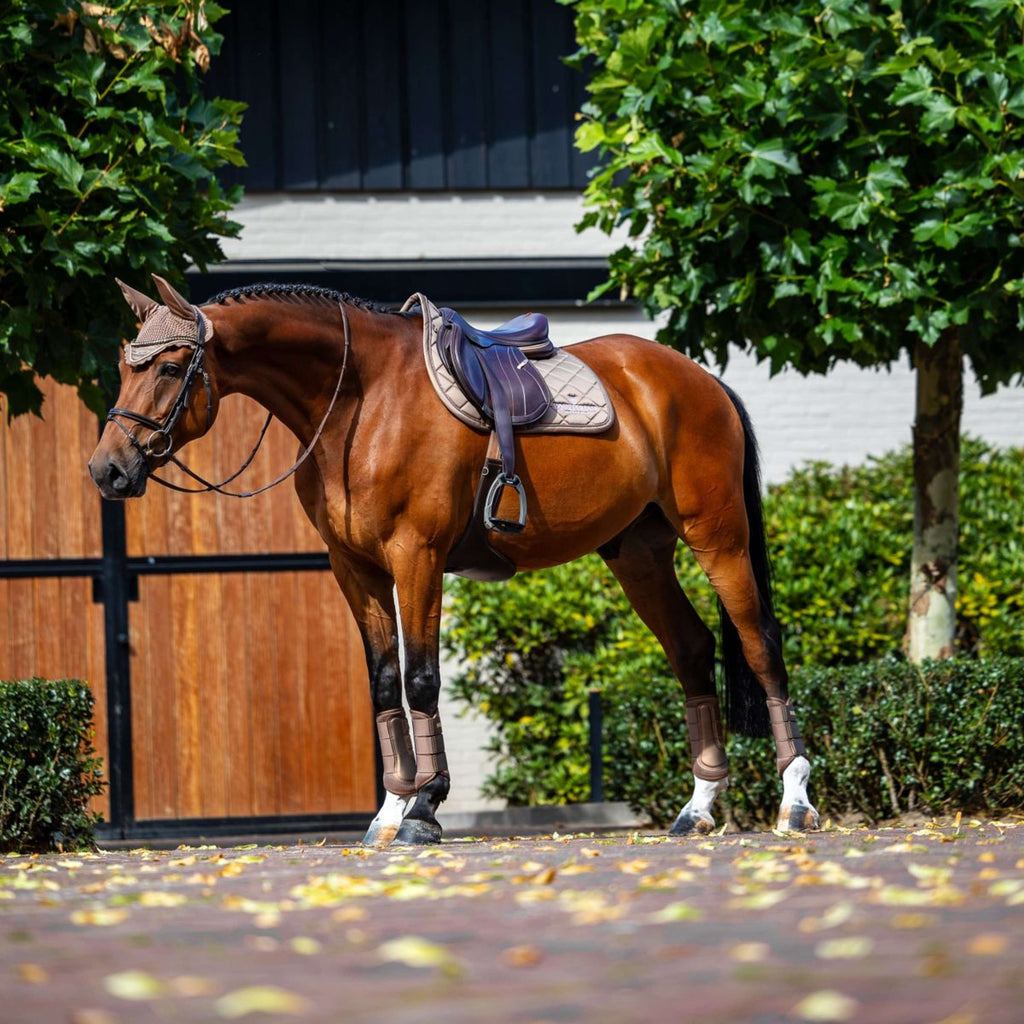 Equestrian Stockholm Sottosella Line saltando Champagne