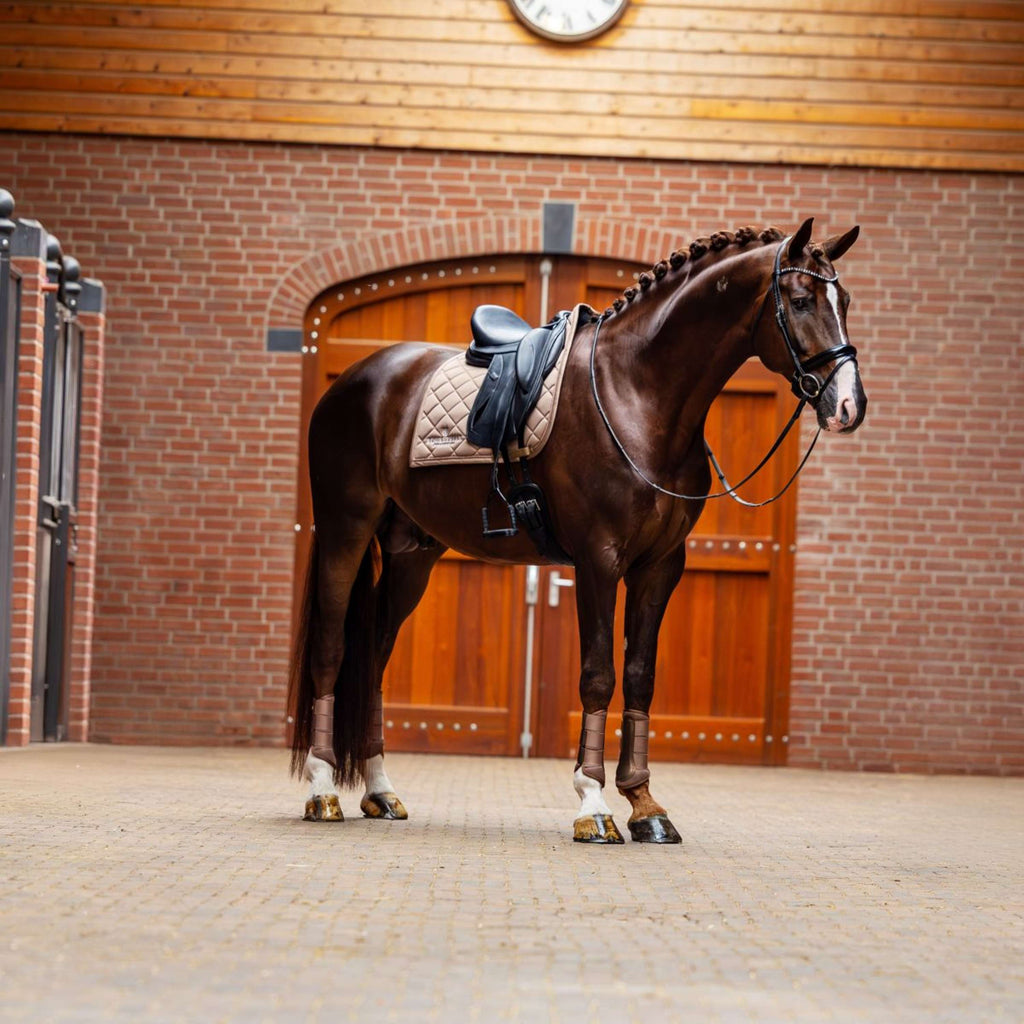 Equestrian Stockholm Sottosella Line Dressage Champagne