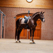 Equestrian Stockholm Sottosella Line Dressage Champagne