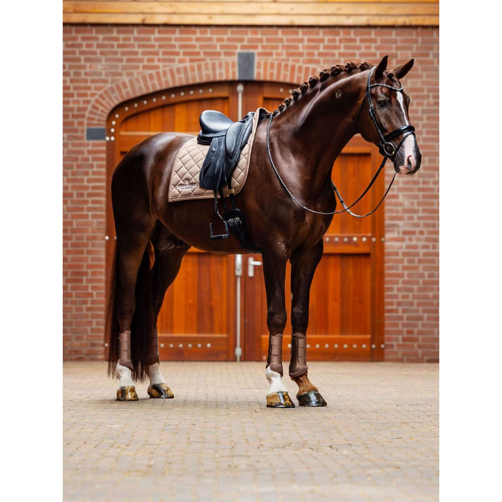 Equestrian Stockholm Parastinchi Classic Mesh Champagne