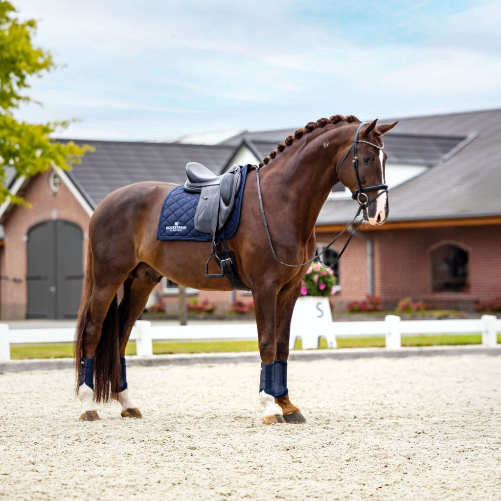 Equestrian Stockholm Sottosella Line Dressage Navy