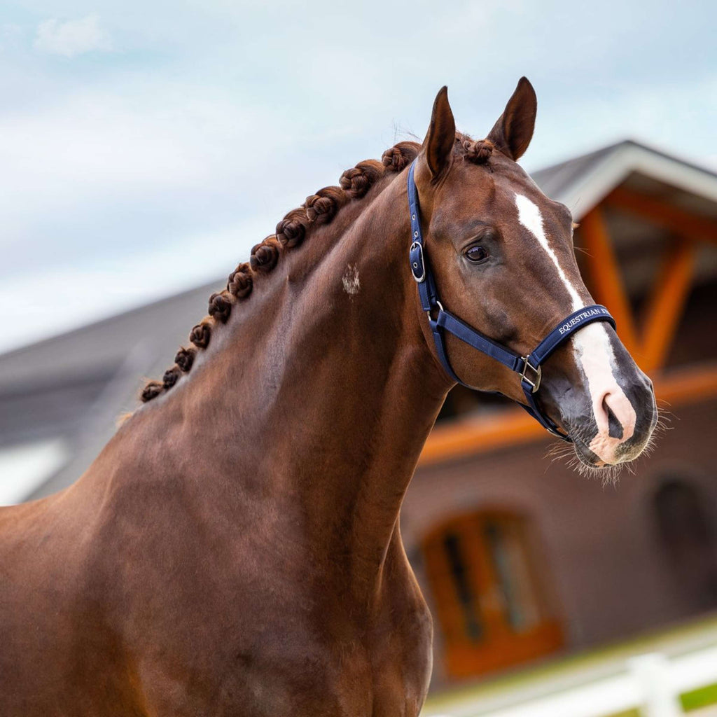 Equestrian Stockholm Cavezza Line Navy