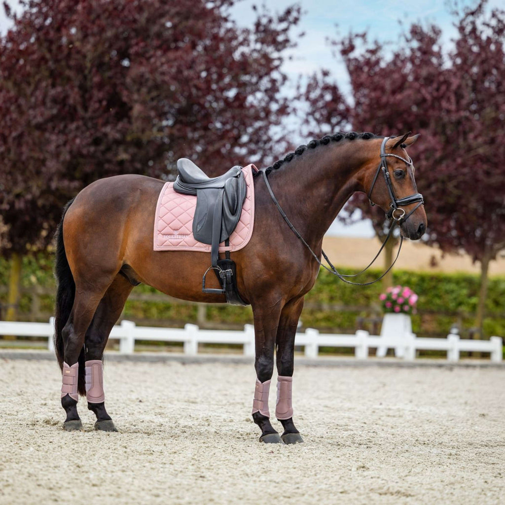 Equestrian Stockholm Sottosella Line Dressage Rosa