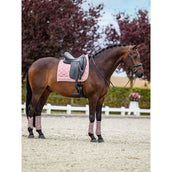 Equestrian Stockholm Parastinchi Classic Mesh Rosa