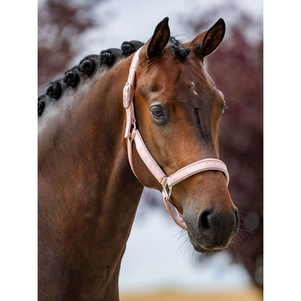 Equestrian Stockholm Cavezza Line Rosa