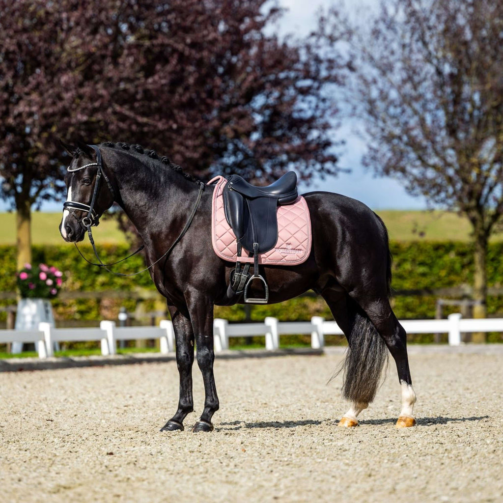 Equestrian Stockholm Sottosella Line Dressage Rosa