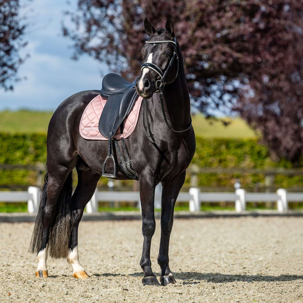 Equestrian Stockholm Sottosella Line Dressage Rosa