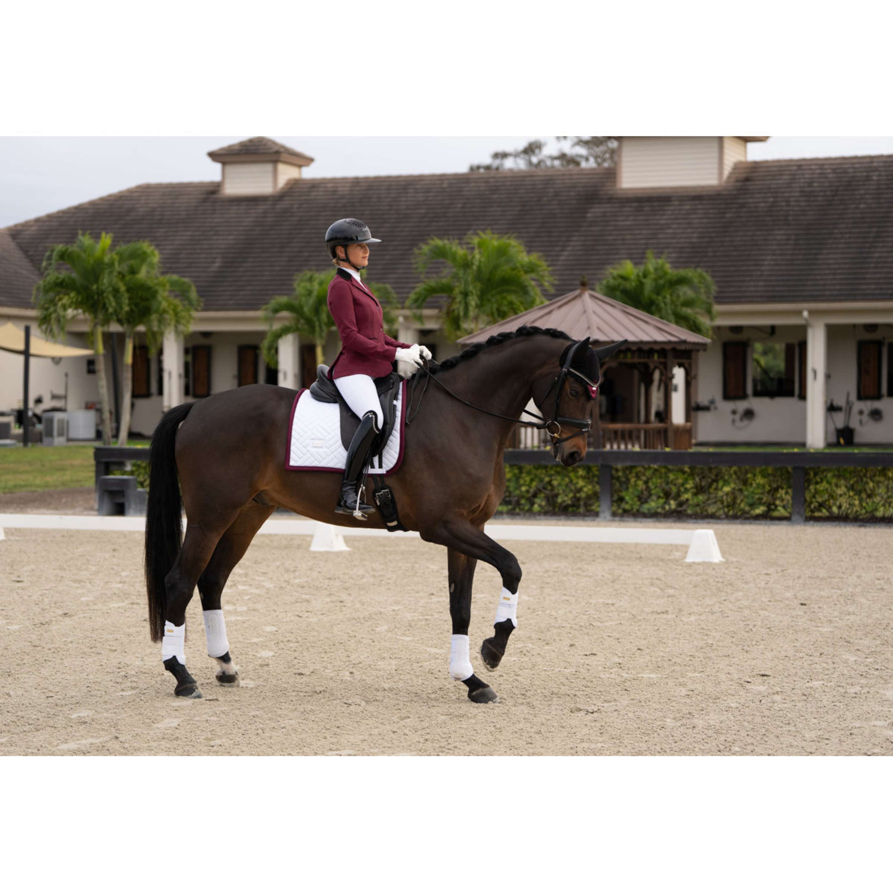 Equestrian Stockholm Giacca da Competizione Classic Merlot