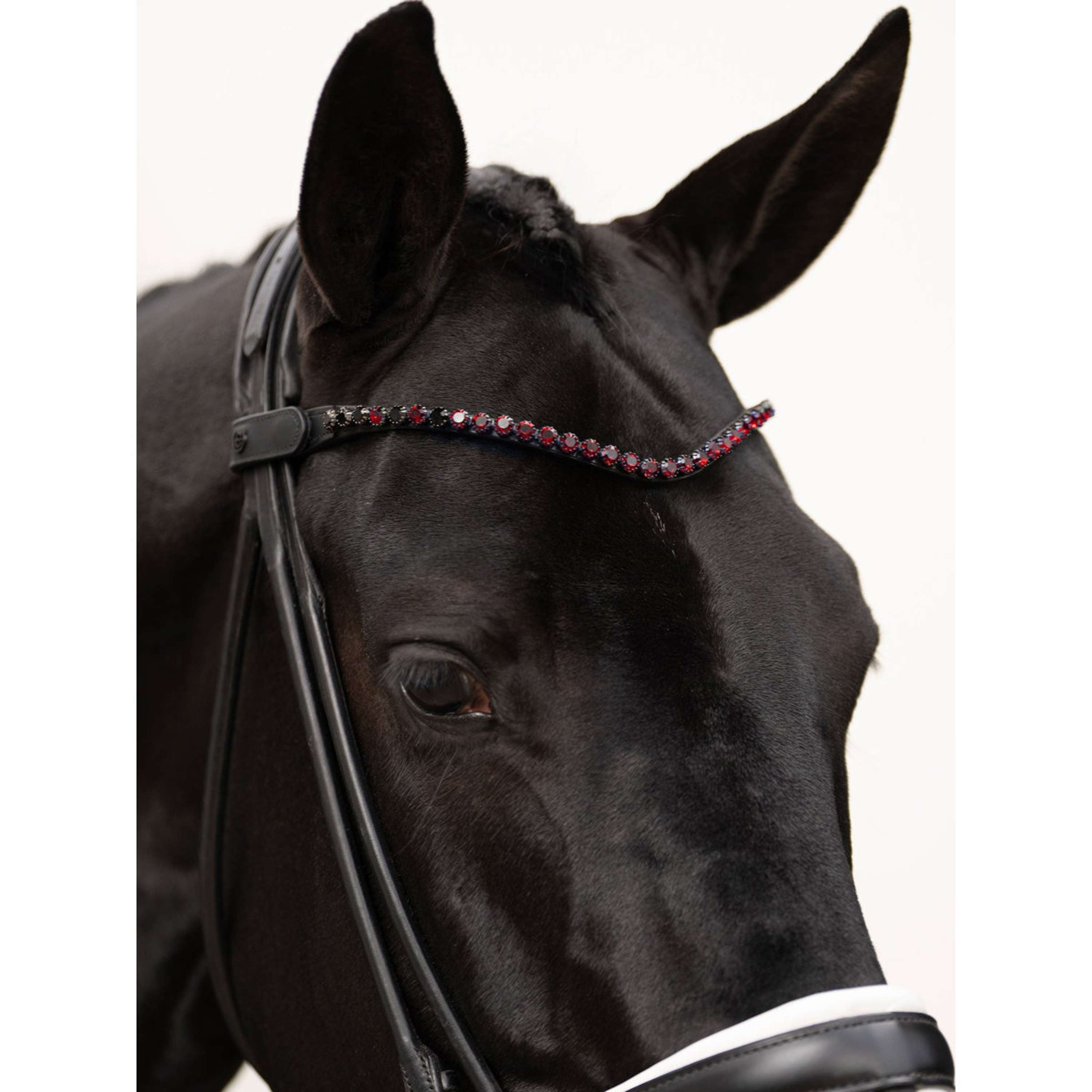 Equestrian Stockholm Frontalino Faded 8mm Merlot