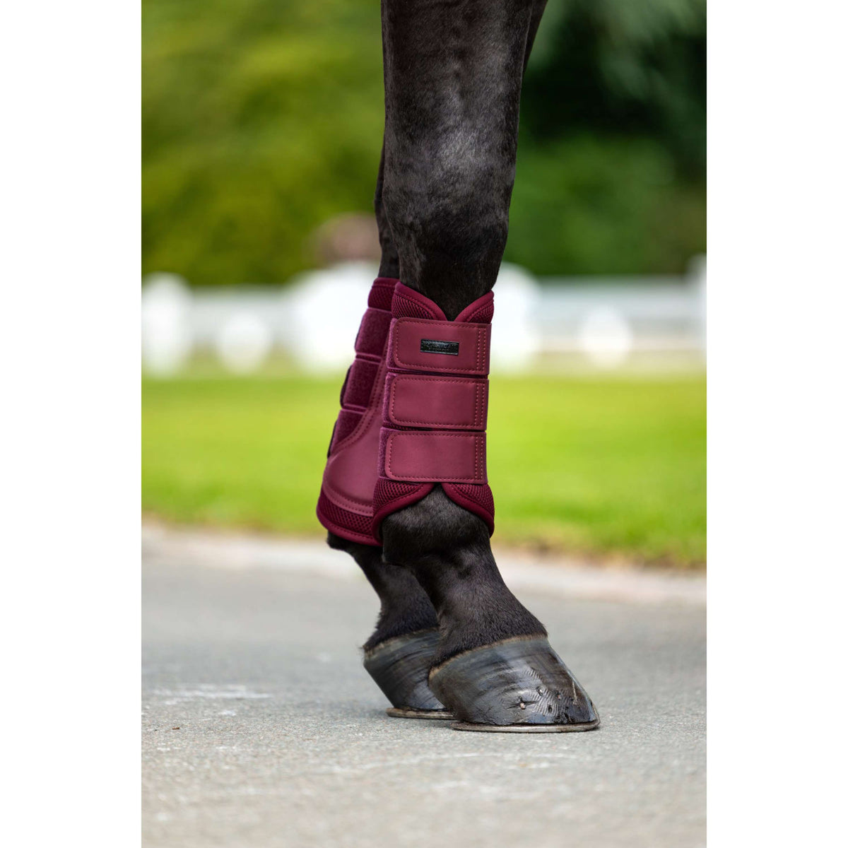 Equestrian Stockholm Parastinchi Mesh Merlot