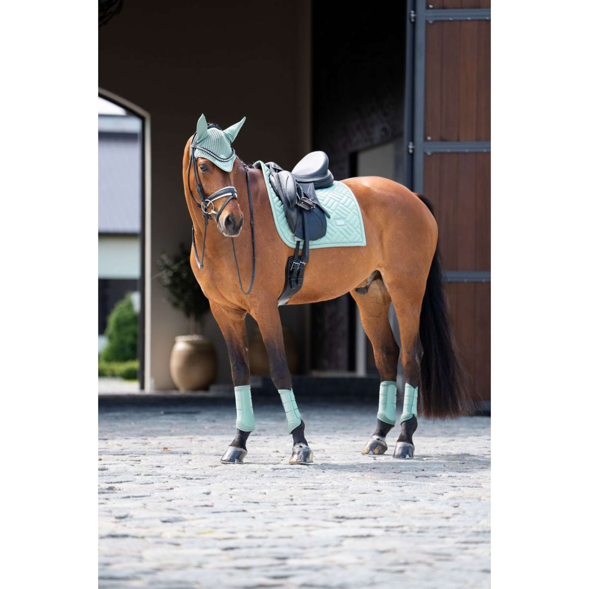Equestrian Stockholm Sottosella Modern Dressage Mint Green