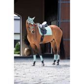Equestrian Stockholm Sottosella Modern Dressage Mint Green