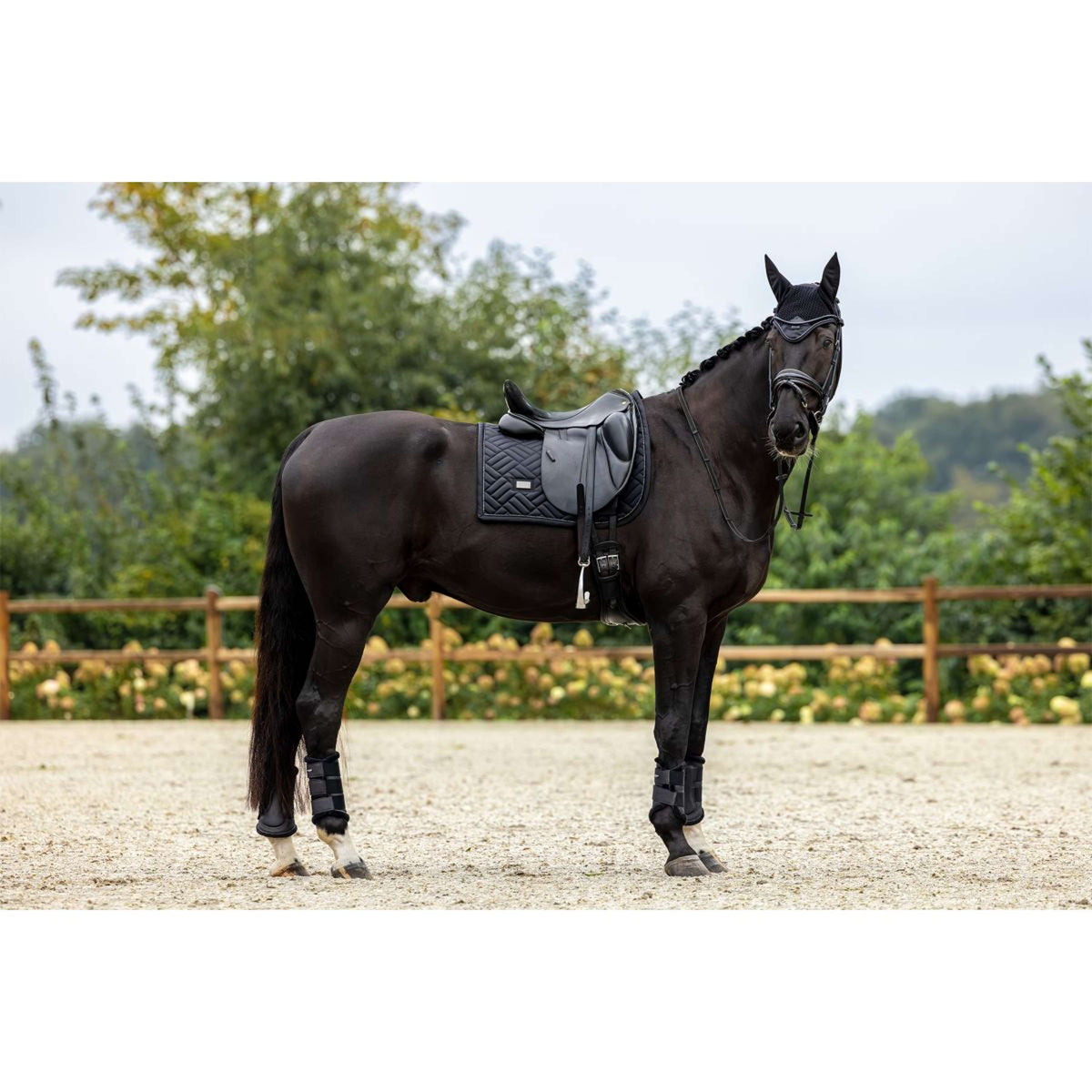 Equestrian Stockholm Sottosella Modern Dressage Nero
