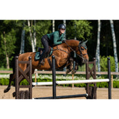 Equestrian Stockholm Sottosella saltando Sycamore Green