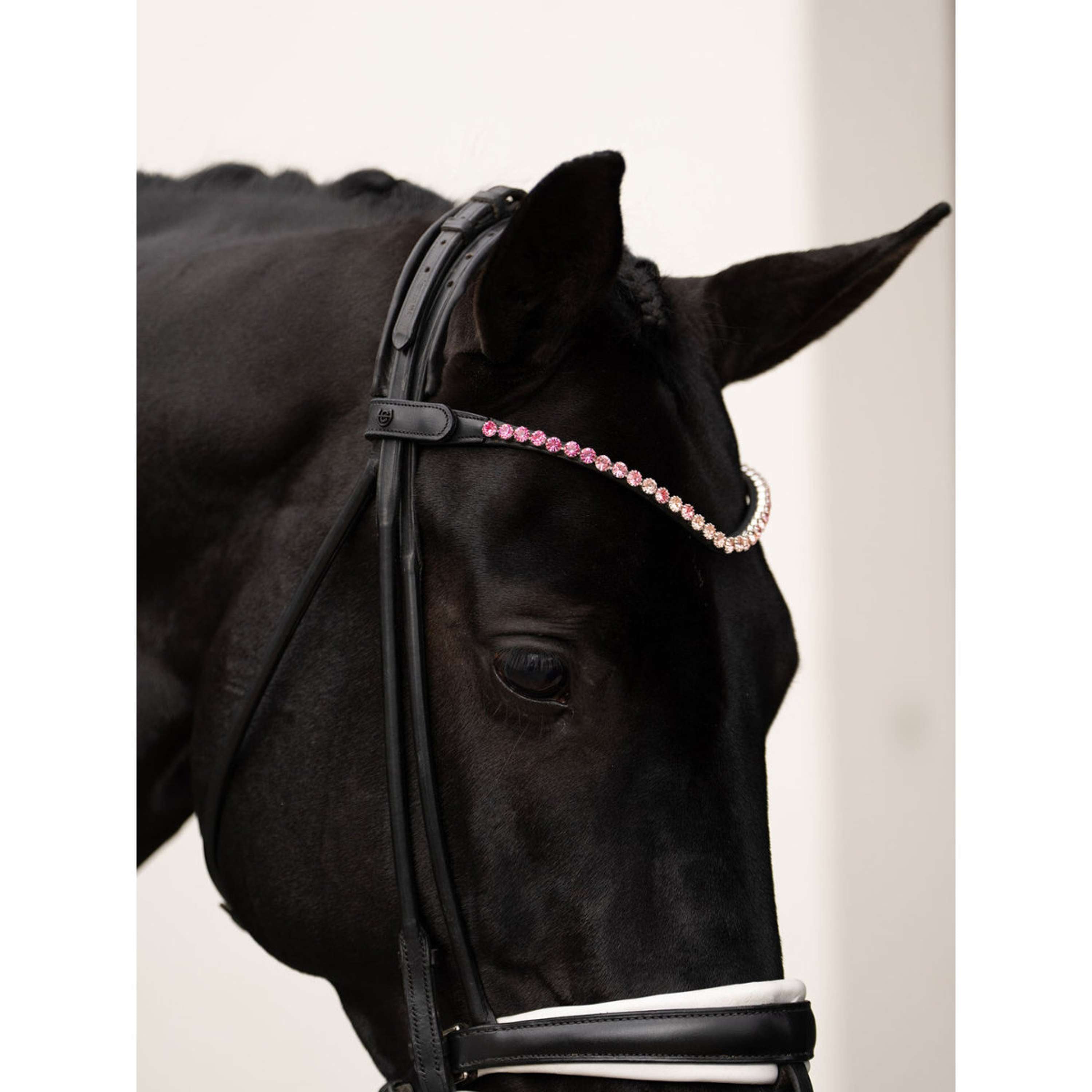 Equestrian Stockholm Frontalino Faded 8mm Rosa