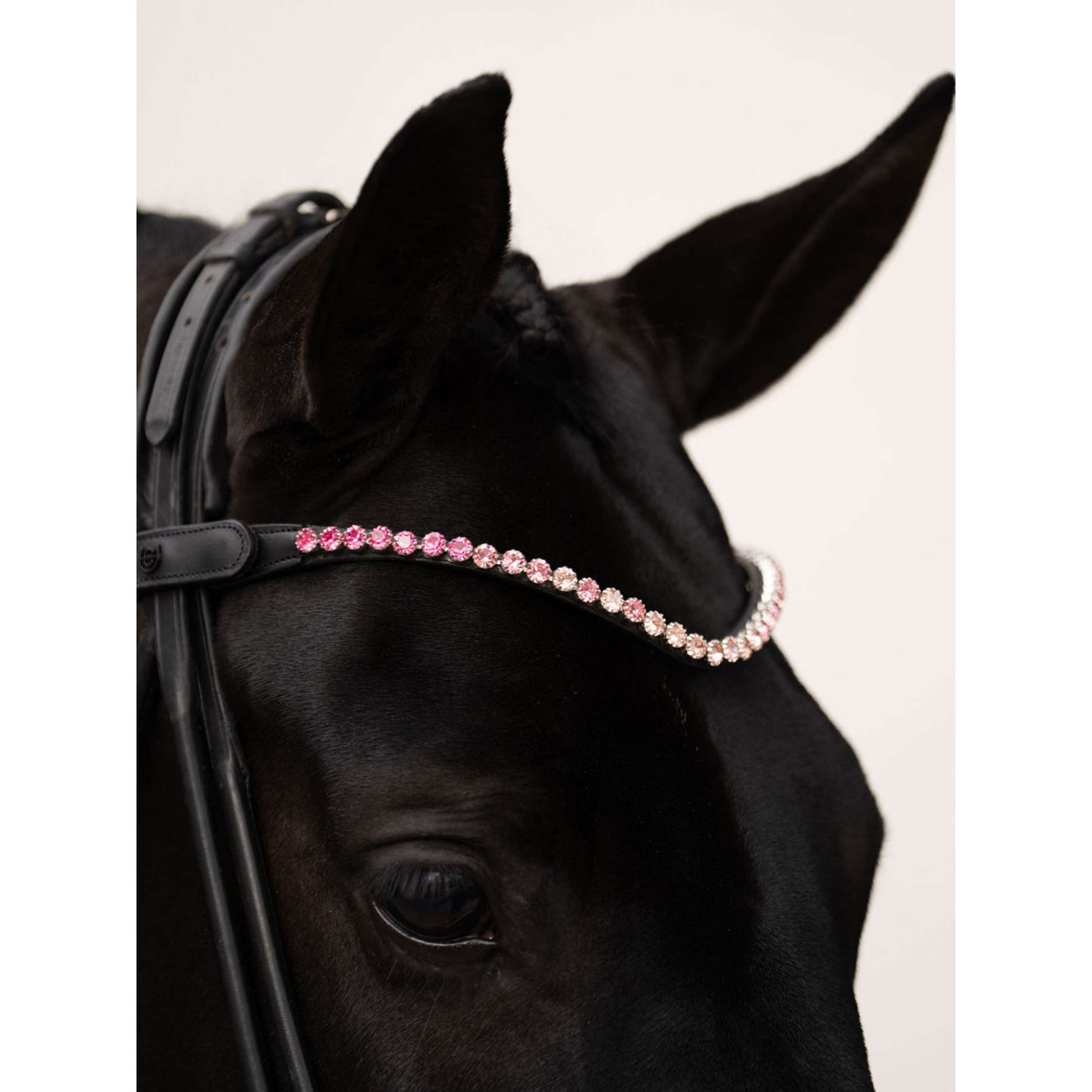 Equestrian Stockholm Frontalino Faded 8mm Rosa
