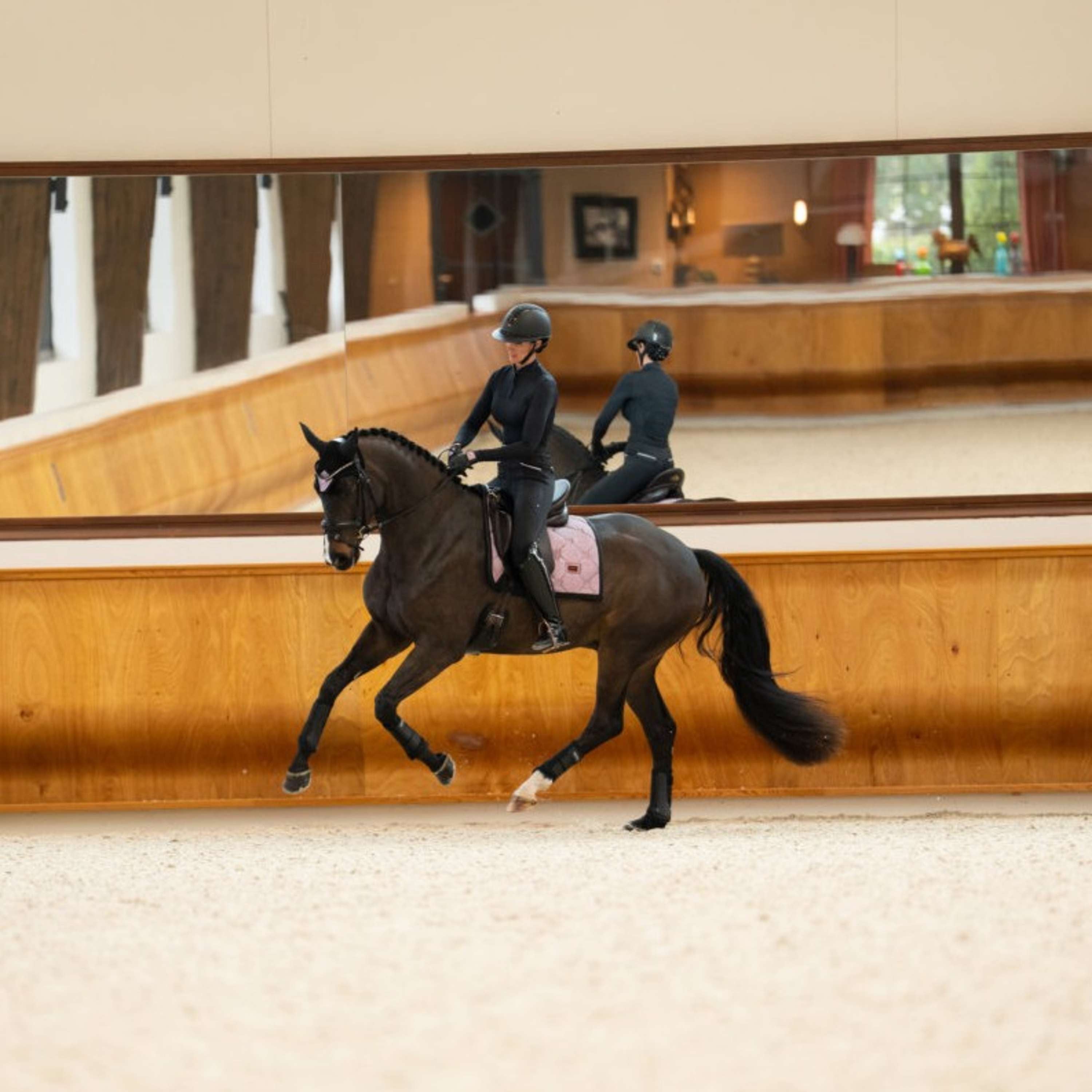 Equestrian Stockholm Sottosella Dressage Pink Glimmer