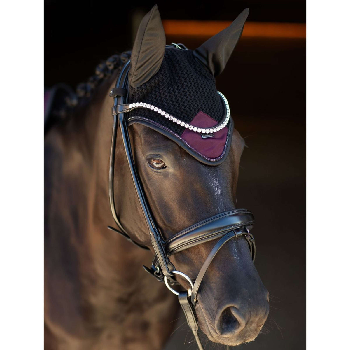 Equestrian Stockholm Cuffietta Modern Purple Night