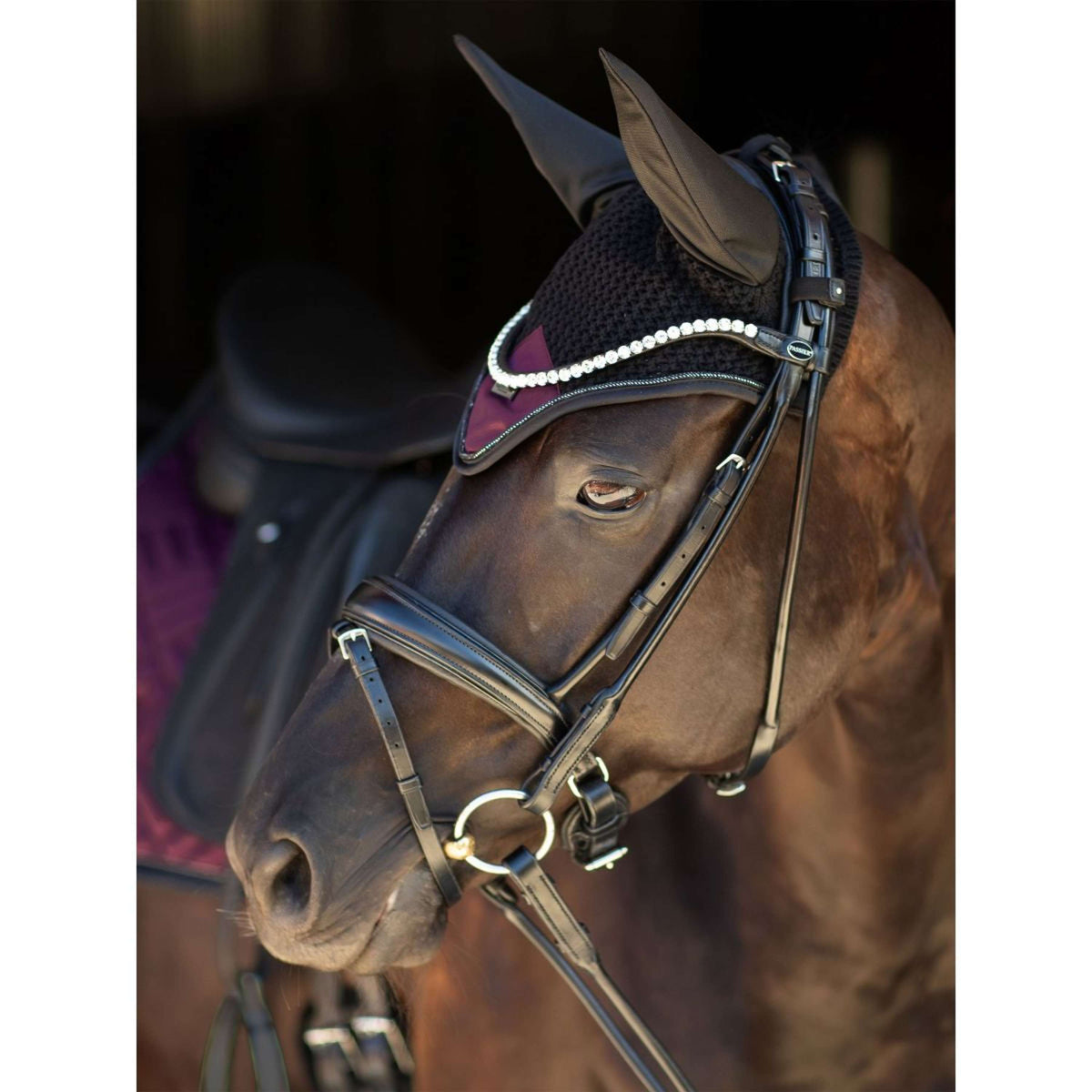 Equestrian Stockholm Cuffietta Modern Purple Night