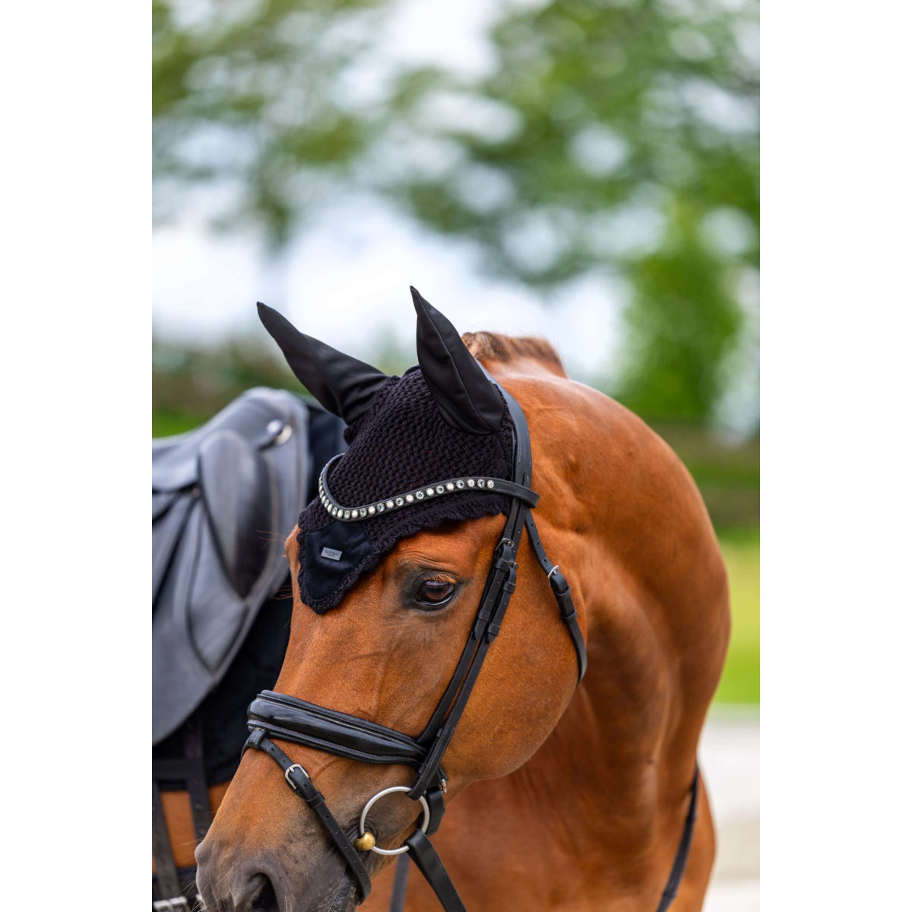 Equestrian Stockholm Cuffietta Velvet Nero