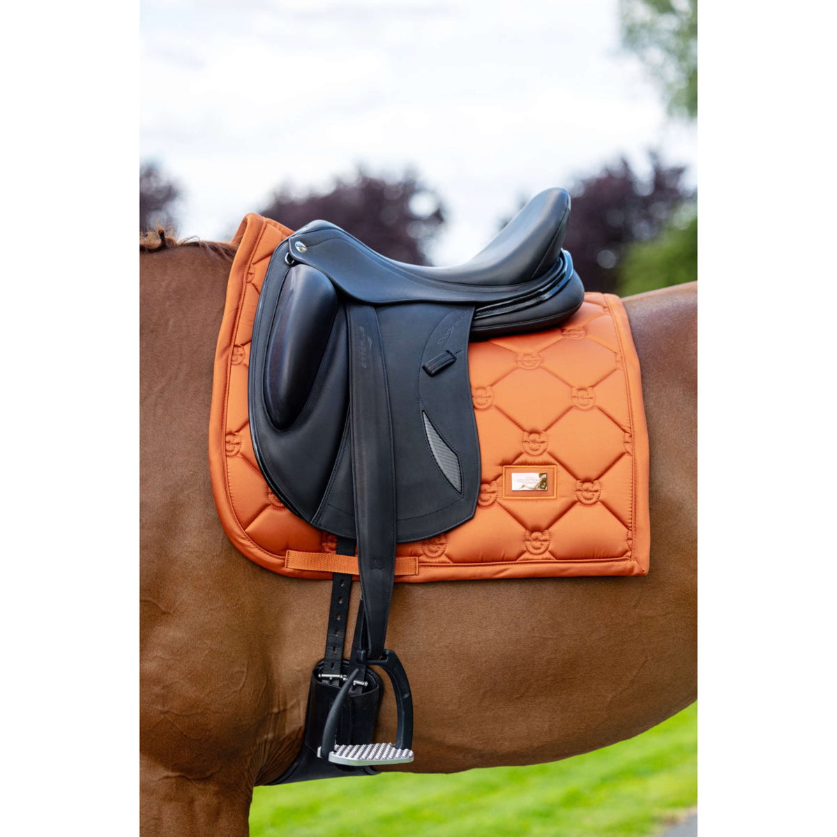 Equestrian Stockholm Sottosella Satin Dressage Chestnut