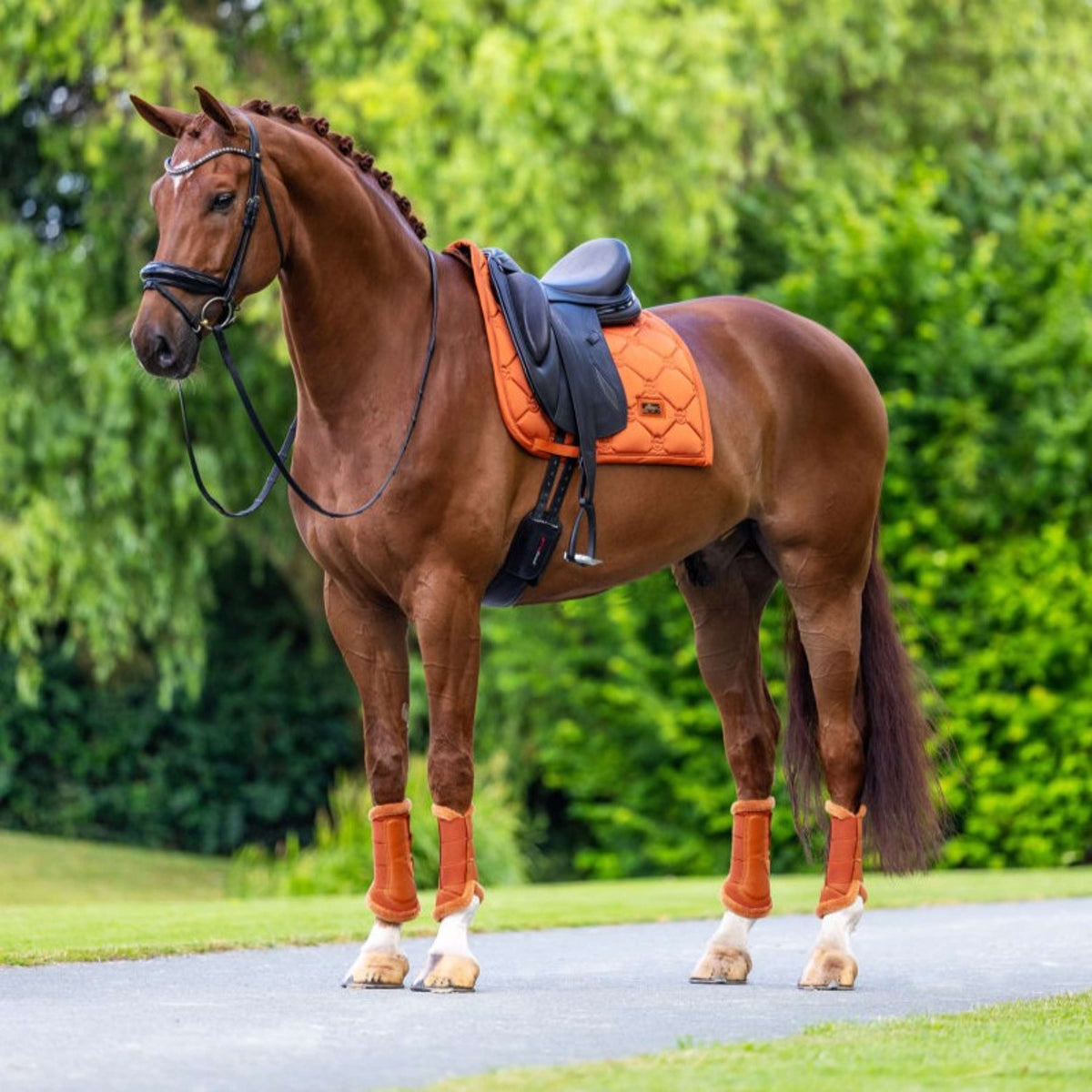 Equestrian Stockholm Sottosella Satin Dressage Chestnut