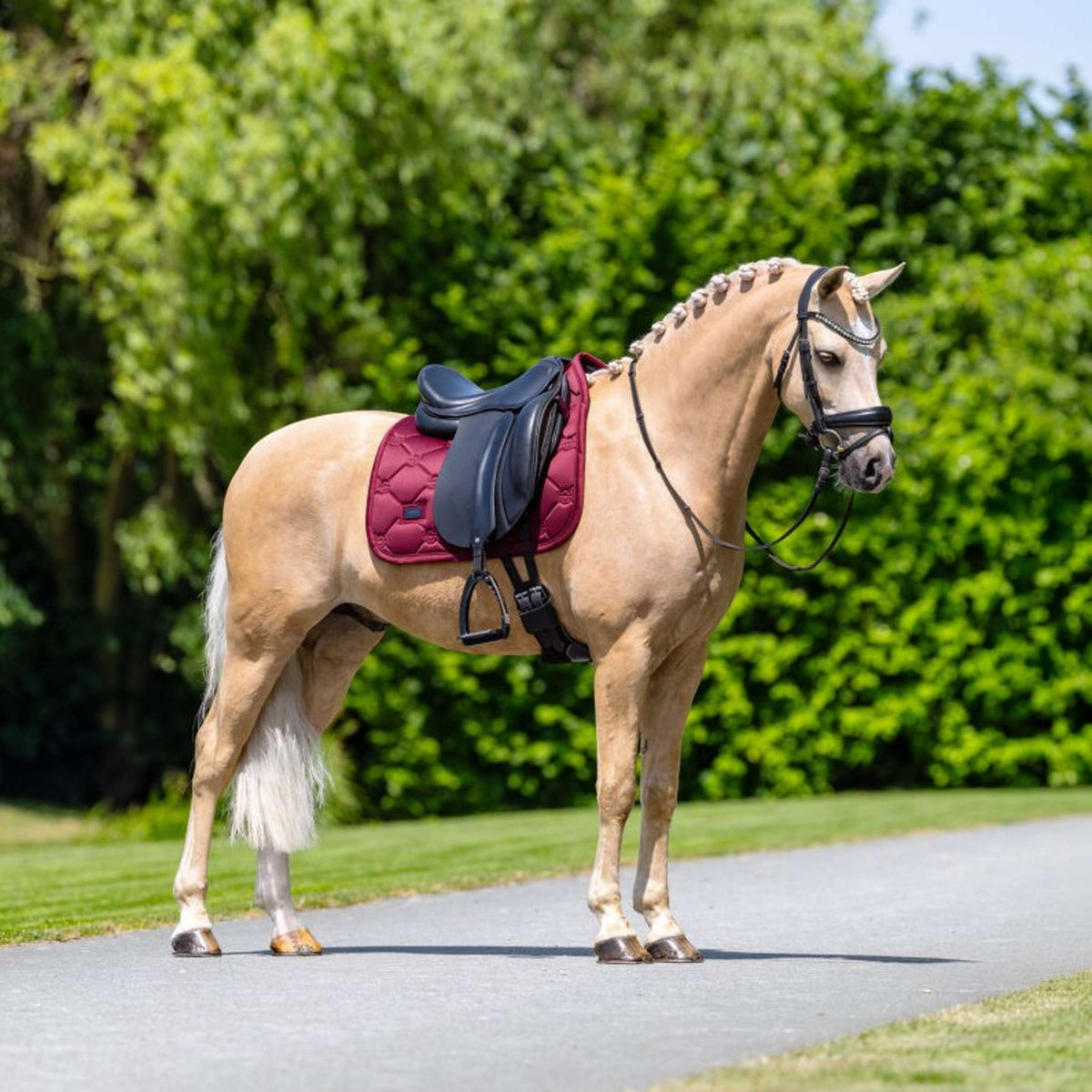 Equestrian Stockholm Sottosella Satin Dressage Merlot