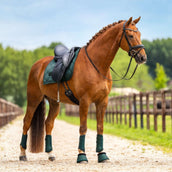 Equestrian Stockholm Sottosella Satin Dressage Sycamore Green