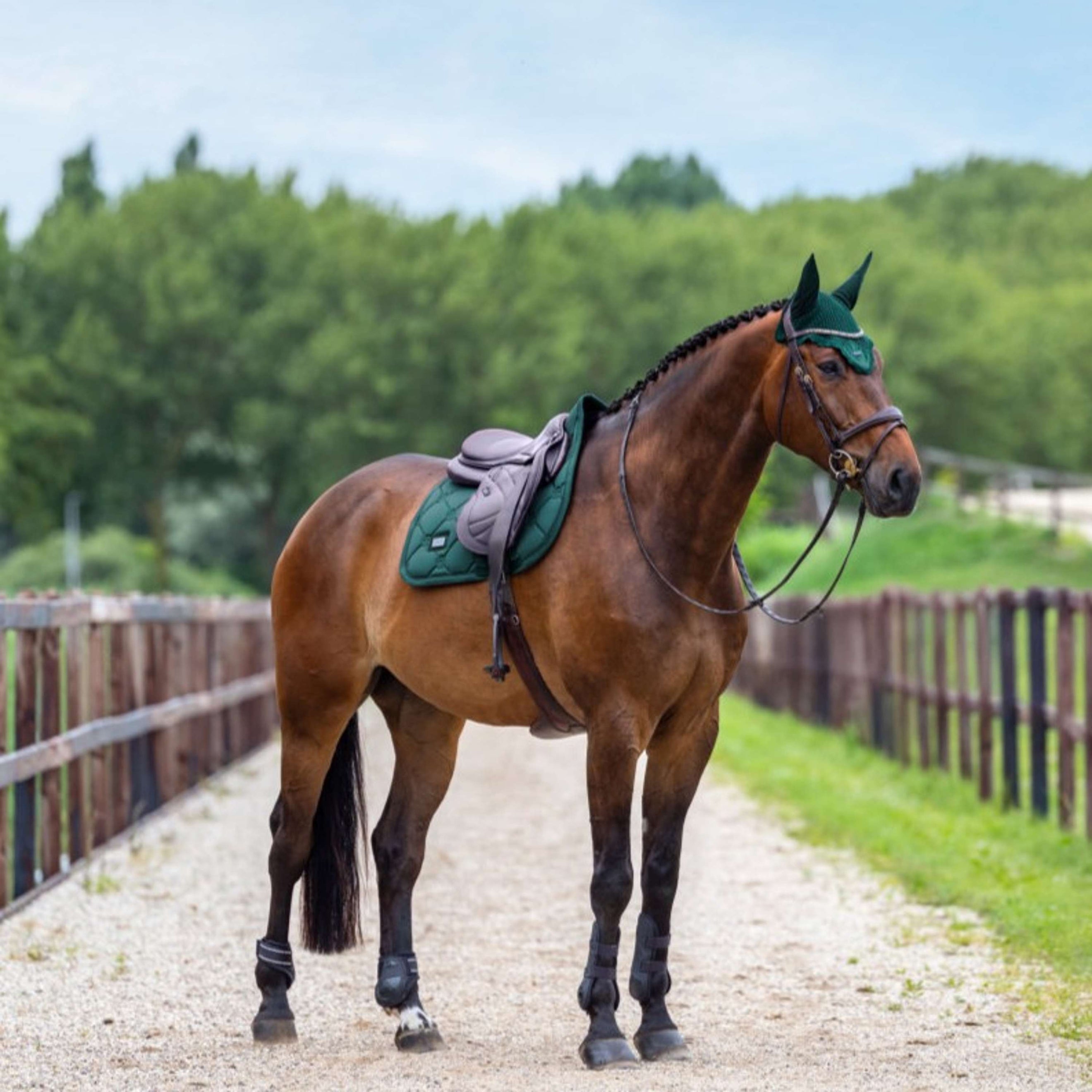 Equestrian Stockholm Sottosella Satin Saltando Sycamore Green