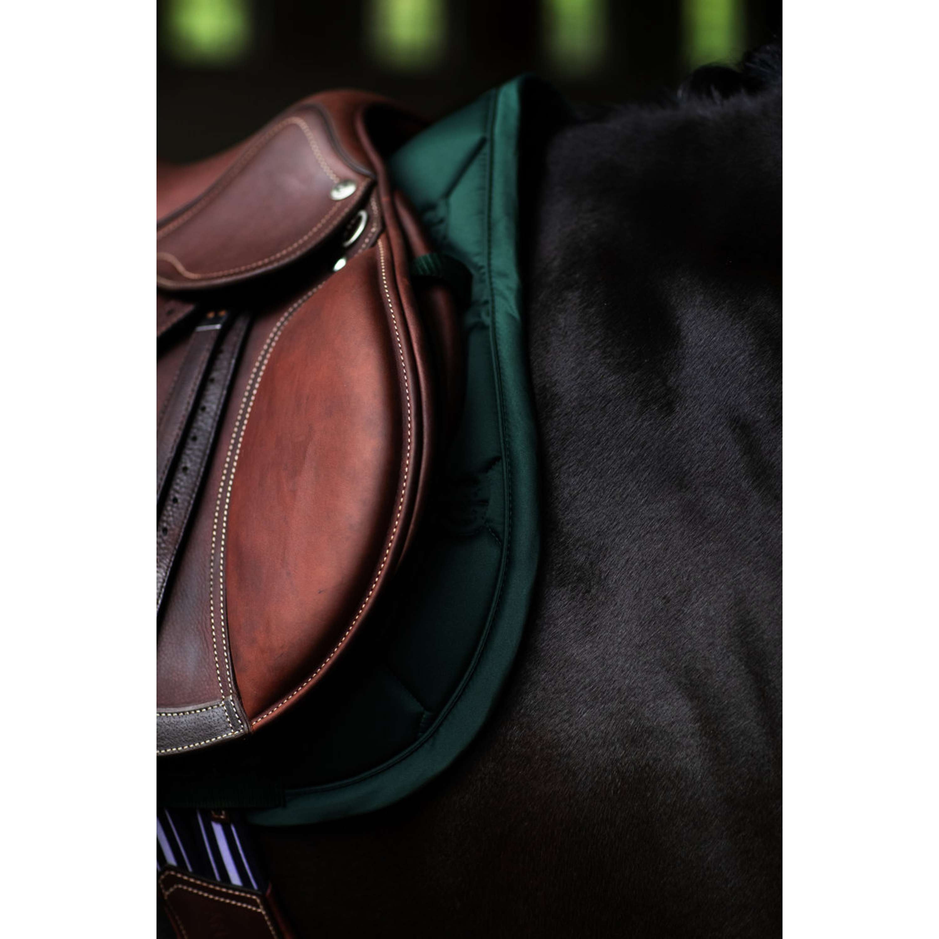 Equestrian Stockholm Sottosella Satin Saltando Sycamore Green