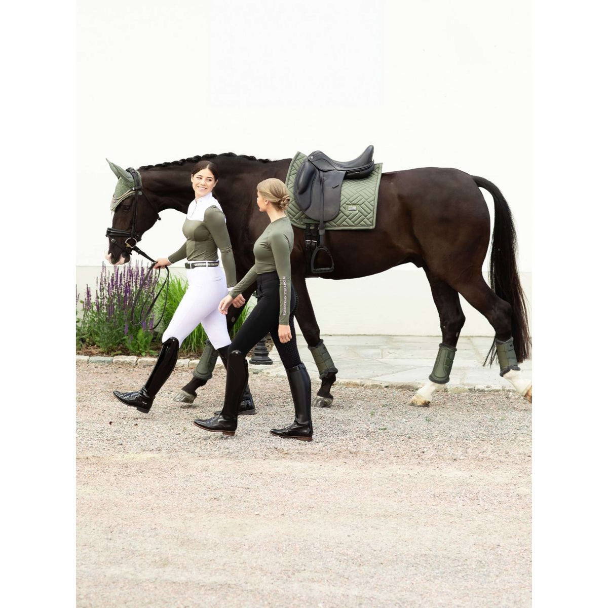 Equestrian Stockholm Sottosella Modern Dressage Striking Viking