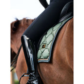 Equestrian Stockholm Sottosella Dressage Striking Valley