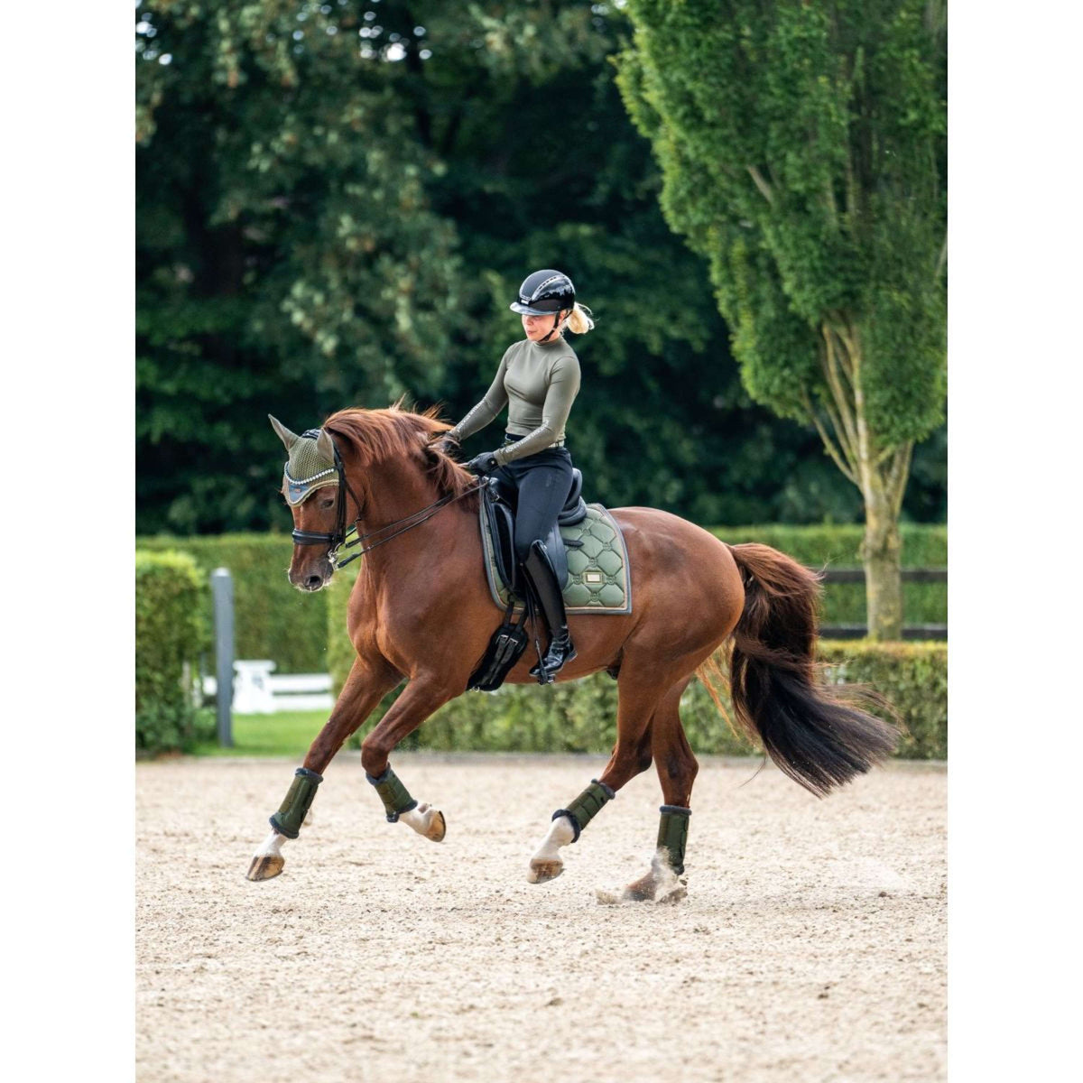 Equestrian Stockholm Sottosella Dressage Striking Valley