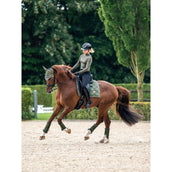 Equestrian Stockholm Sottosella Dressage Striking Valley