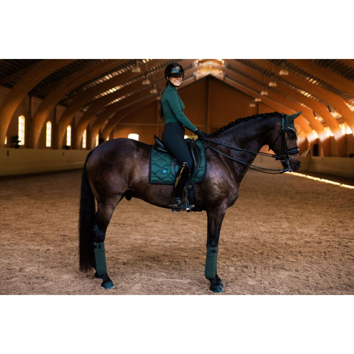 Equestrian Stockholm Sottosella Dressage Sycamore Green
